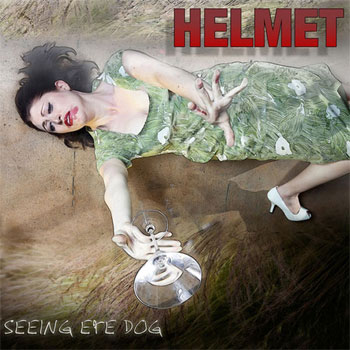 helmet-seeing-eye-dog