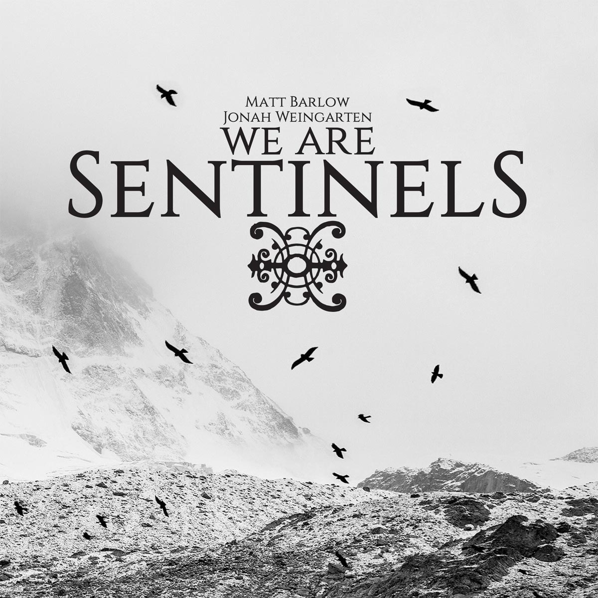 We Are Sentinels