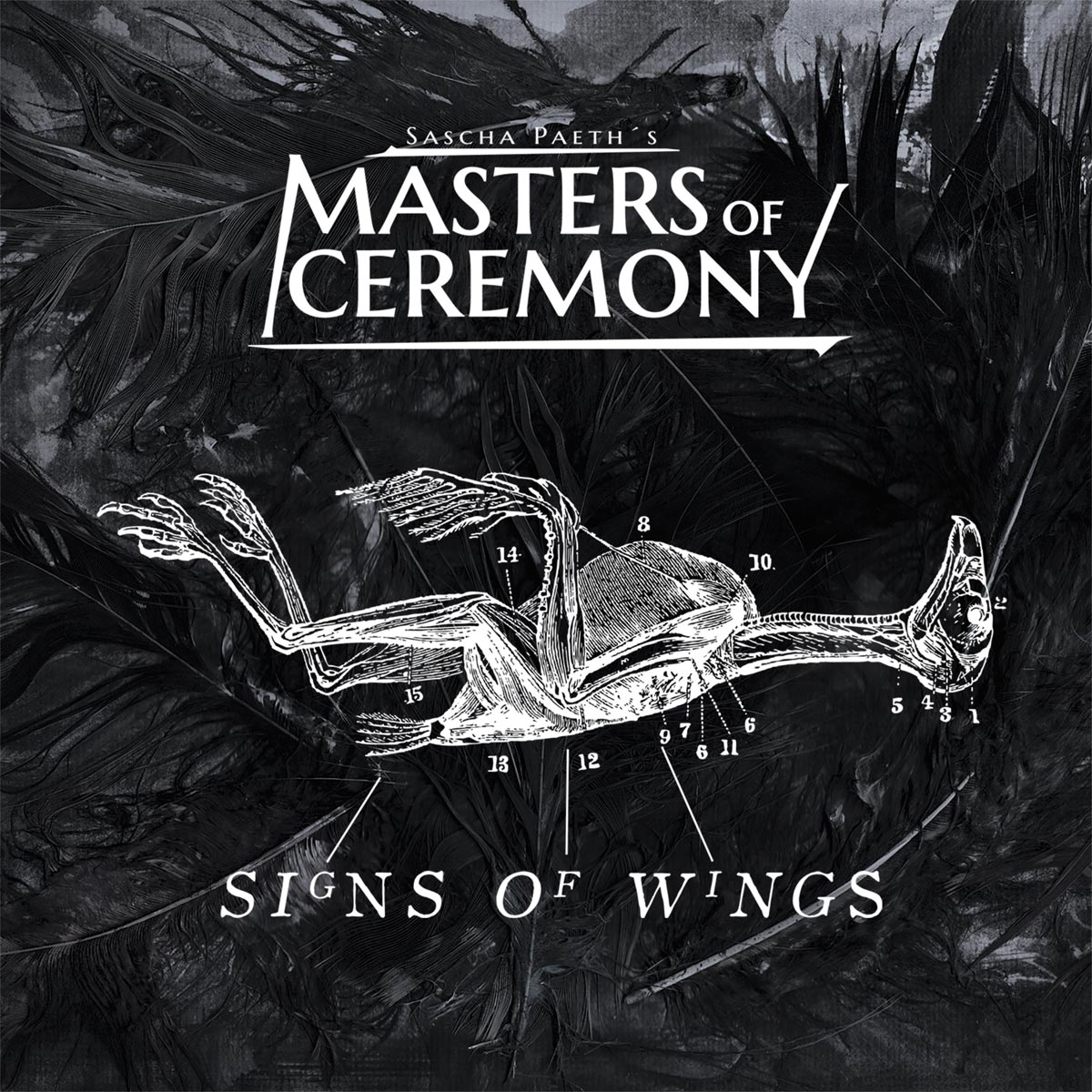 MASTERS OF CEREMONY Signs Of Wings