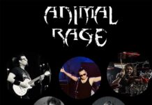 Animal Rage