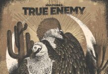 Vultures, disco de True Enemy
