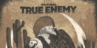 Vultures, disco de True Enemy