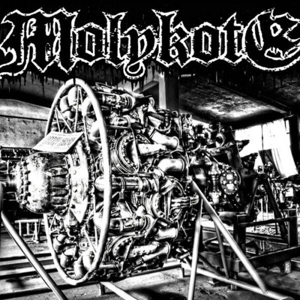 Portada del trabajo de MOLYKOTE – “Demo"